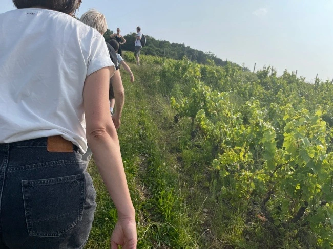 img.jpg?credential=yqXZFxpELC7KVnFOS48ylbz2pIh7yKj8&expires=1777561199&allow_ip=&allow_referer=&signature=2nRVLU9LVxFEPonFQRB798wK8kc%3D