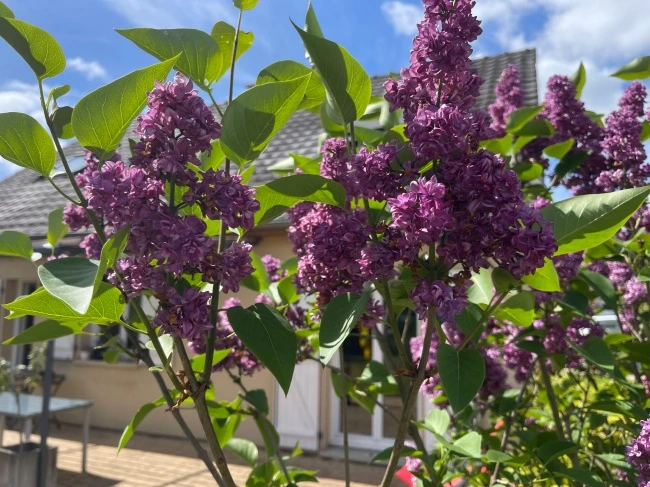 img.jpg?credential=yqXZFxpELC7KVnFOS48ylbz2pIh7yKj8&expires=1774969199&allow_ip=&allow_referer=&signature=yBHkJXyW7jL96QQOqAL%2BRFK%2Fhjw%3D