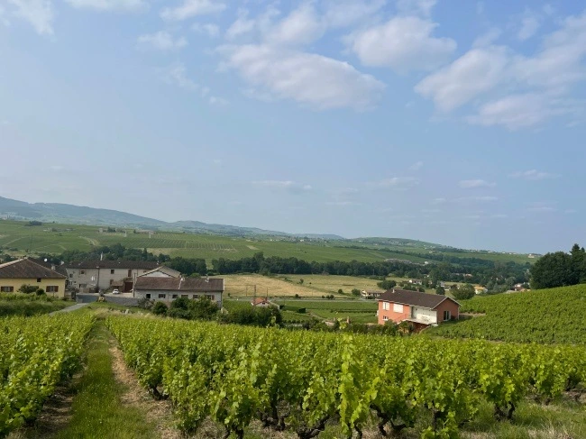 img.jpg?credential=yqXZFxpELC7KVnFOS48ylbz2pIh7yKj8&expires=1777561199&allow_ip=&allow_referer=&signature=HRzToBplYopN4WRGiVvdJC4xbWg%3D