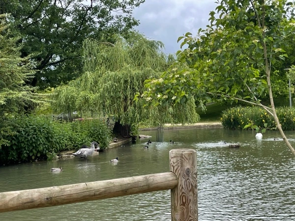 img.jpg?credential=yqXZFxpELC7KVnFOS48ylbz2pIh7yKj8&expires=1774969199&allow_ip=&allow_referer=&signature=xx53BfVkkn%2FXOhg5WoS1jI8lHRE%3D