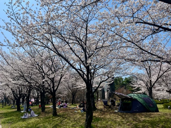 img.jpg?credential=yqXZFxpELC7KVnFOS48ylbz2pIh7yKj8&expires=1772290799&allow_ip=&allow_referer=&signature=Mq0qd9d0Ri4o9TTvfAb6z149%2FBk%3D