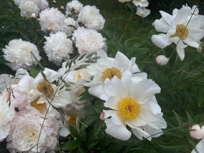 img.jpg?credential=yqXZFxpELC7KVnFOS48ylbz2pIh7yKj8&expires=1774969199&allow_ip=&allow_referer=&signature=u%2BotUwpDlIVyUPgw6TXu1A0JqCQ%3D