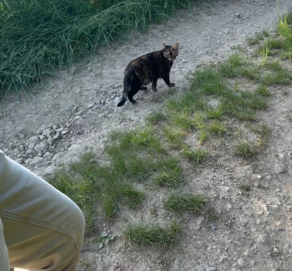 img.jpg?credential=yqXZFxpELC7KVnFOS48ylbz2pIh7yKj8&expires=1774969199&allow_ip=&allow_referer=&signature=poza1NbyXE3aRmrTeSOHG4rFFeM%3D