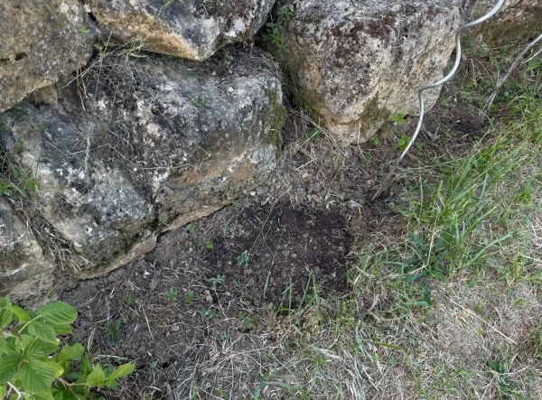 img.jpg?credential=yqXZFxpELC7KVnFOS48ylbz2pIh7yKj8&expires=1774969199&allow_ip=&allow_referer=&signature=p6d3nVcHDpesAFqsPBsVCMwEtq0%3D