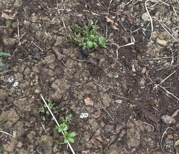 img.jpg?credential=yqXZFxpELC7KVnFOS48ylbz2pIh7yKj8&expires=1774969199&allow_ip=&allow_referer=&signature=kbAjAzRkM1eyhR2SsFTl6L6MY3A%3D