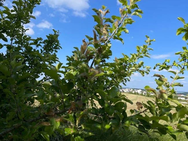 img.jpg?credential=yqXZFxpELC7KVnFOS48ylbz2pIh7yKj8&expires=1774969199&allow_ip=&allow_referer=&signature=DtZdOYw5b4hMfsRRB%2B%2BvIC5Wy2c%3D