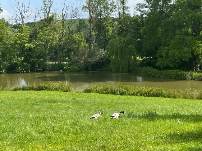 img.jpg?credential=yqXZFxpELC7KVnFOS48ylbz2pIh7yKj8&expires=1774969199&allow_ip=&allow_referer=&signature=UznQYDTK%2BLjEmtInAjy0NI4xL4w%3D