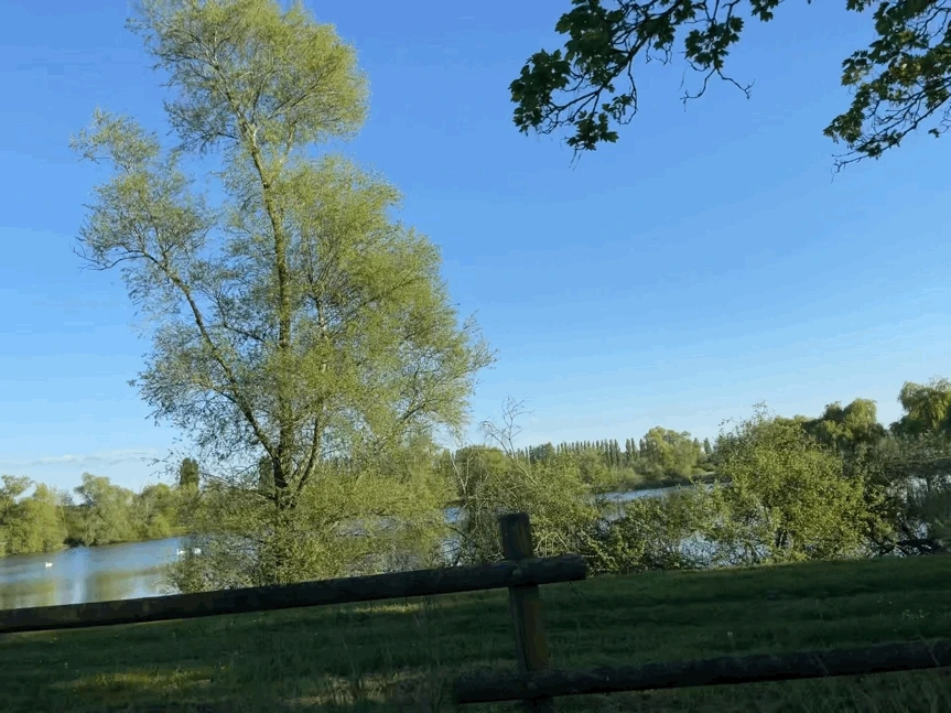 img.gif?credential=yqXZFxpELC7KVnFOS48ylbz2pIh7yKj8&expires=1774969199&allow_ip=&allow_referer=&signature=OfD5%2F10t185nrvxS9As0qldK3qQ%3D