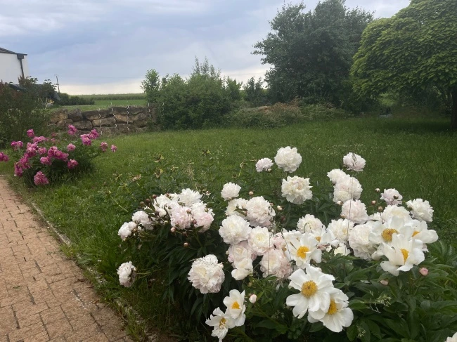 img.jpg?credential=yqXZFxpELC7KVnFOS48ylbz2pIh7yKj8&expires=1774969199&allow_ip=&allow_referer=&signature=fR5EHV8RTg9m1QvEV3DDke3S4rY%3D