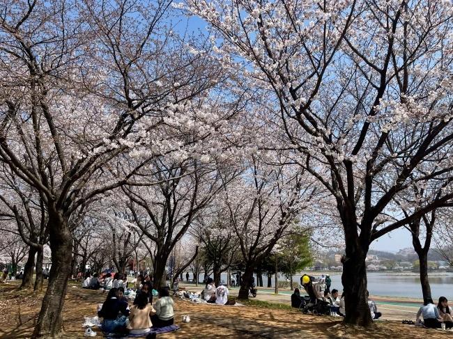 img.jpg?credential=yqXZFxpELC7KVnFOS48ylbz2pIh7yKj8&expires=1772290799&allow_ip=&allow_referer=&signature=dx6DY8YQ4loTj0Cco36fYOJdYck%3D