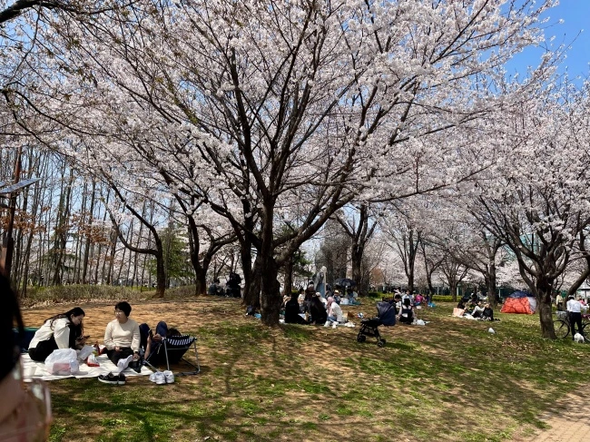 img.jpg?credential=yqXZFxpELC7KVnFOS48ylbz2pIh7yKj8&expires=1772290799&allow_ip=&allow_referer=&signature=r%2FqQEpTNYPZCrCP91fkAuF1rQ%2Fg%3D