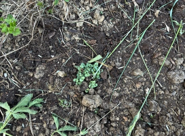 img.jpg?credential=yqXZFxpELC7KVnFOS48ylbz2pIh7yKj8&expires=1774969199&allow_ip=&allow_referer=&signature=9iYftp%2Fv%2BqS%2BA9EZFhIA227QFiE%3D