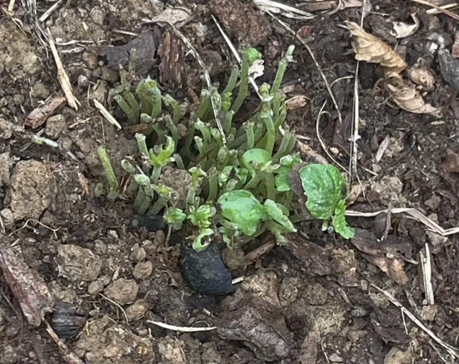 img.jpg?credential=yqXZFxpELC7KVnFOS48ylbz2pIh7yKj8&expires=1774969199&allow_ip=&allow_referer=&signature=hRnBOgrBoHRIdV3nS6%2FklTuX0s0%3D