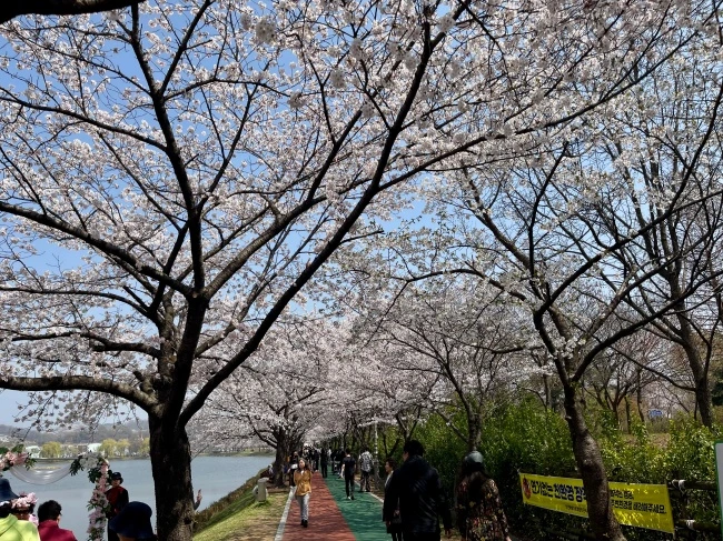 img.jpg?credential=yqXZFxpELC7KVnFOS48ylbz2pIh7yKj8&expires=1772290799&allow_ip=&allow_referer=&signature=49ZPhrwiTzwH4nLptoTaQ74zI5k%3D