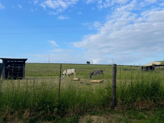 img.jpg?credential=yqXZFxpELC7KVnFOS48ylbz2pIh7yKj8&expires=1774969199&allow_ip=&allow_referer=&signature=1Uh6Uxrx8qszvuW1Vi8v0JdXGK4%3D