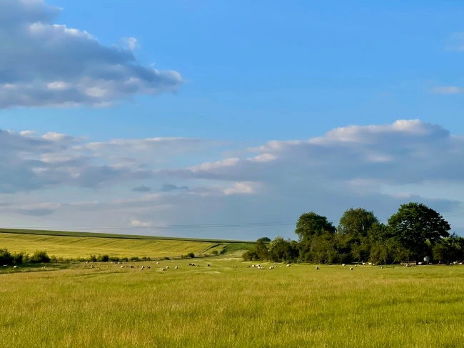 img.jpg?credential=yqXZFxpELC7KVnFOS48ylbz2pIh7yKj8&expires=1774969199&allow_ip=&allow_referer=&signature=cga8S9pfNKdCpBenSPnqCJQOBTM%3D