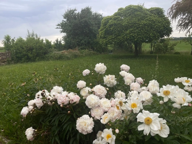 img.jpg?credential=yqXZFxpELC7KVnFOS48ylbz2pIh7yKj8&expires=1774969199&allow_ip=&allow_referer=&signature=AV7i2B6Zjt%2BxdeZh4eggHPRGsEg%3D