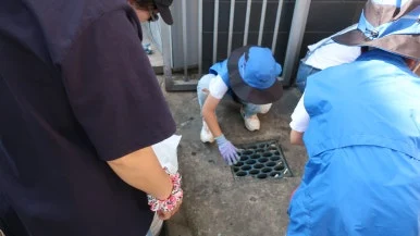 IMG_3752.JPG?type=w386