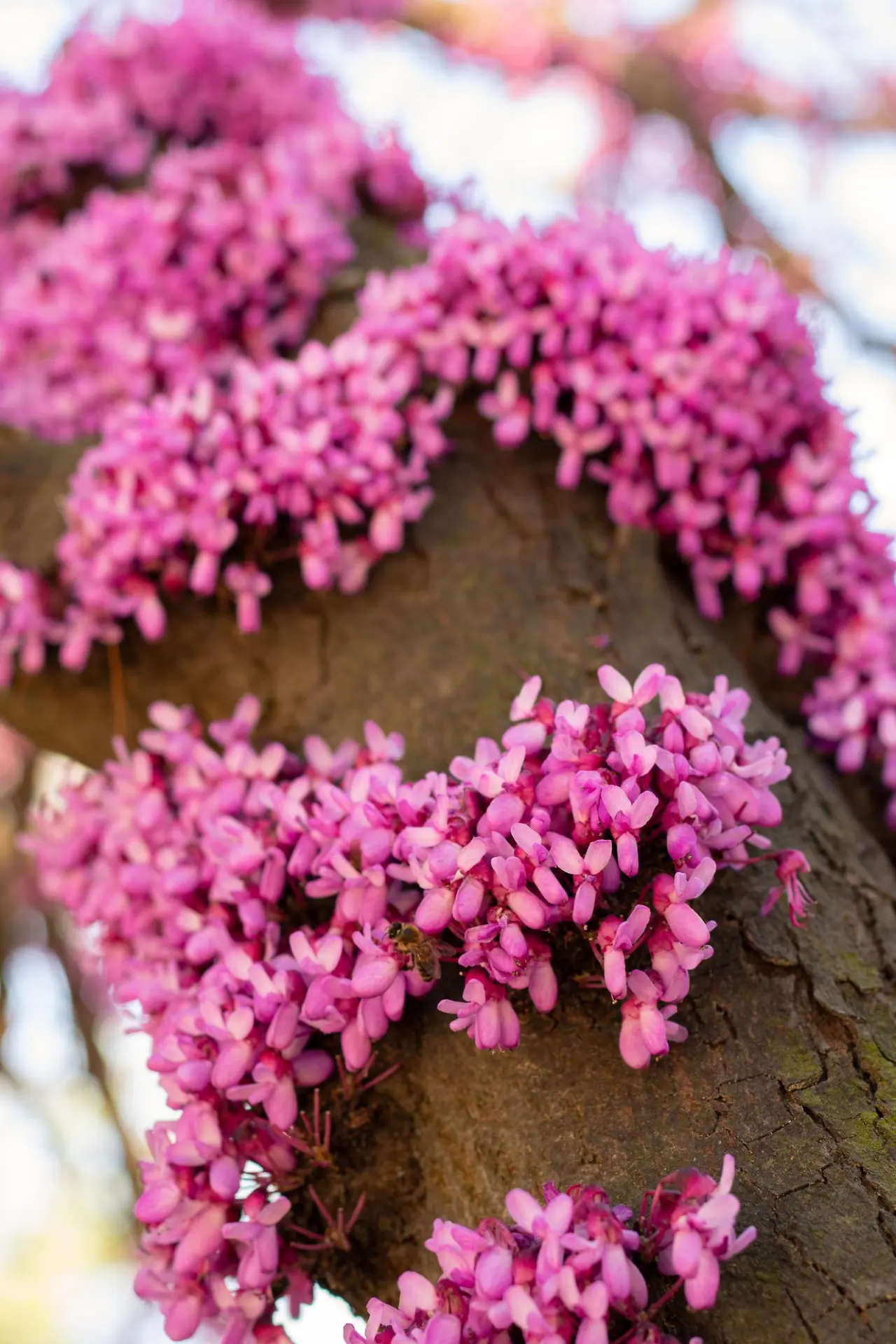 0eRIXJhb99j6vZGkwfP8prmVVWEuUeMFbc874khQOc70_GiBzZmc3tobhC6GJQDOFNi-mC_0BPsNAlF_-bvN0CK454vVhDi8Rt8VJkBCtNM?purpose=fullsize&v=1