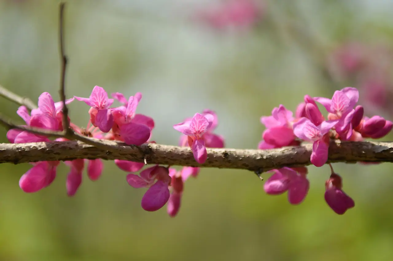 aAaZHhhKaeADZiipou9ik_6YzZhZiqle3XDufqAMbj6bfC-bUXRRb79iQAnoUBReRyVN97I9sSjMhmtaIlTqBSAcI89twS0RaLkzuH-Kb0k?purpose=fullsize&v=1