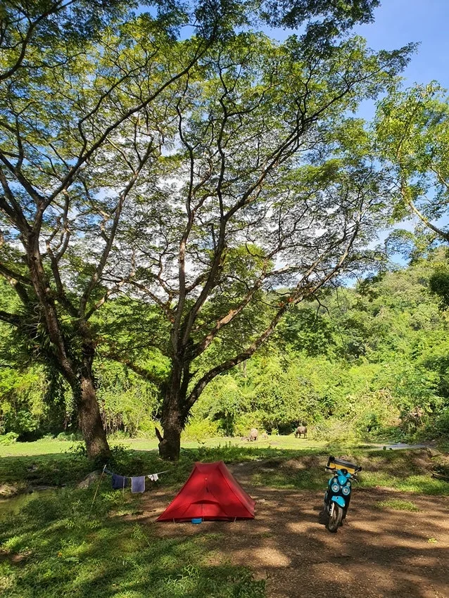 20251111_102347.jpg?type=w1600