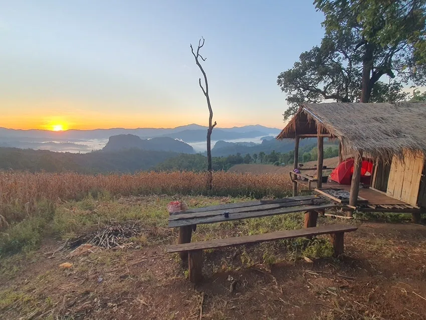 20251127_064447.jpg?type=w1600