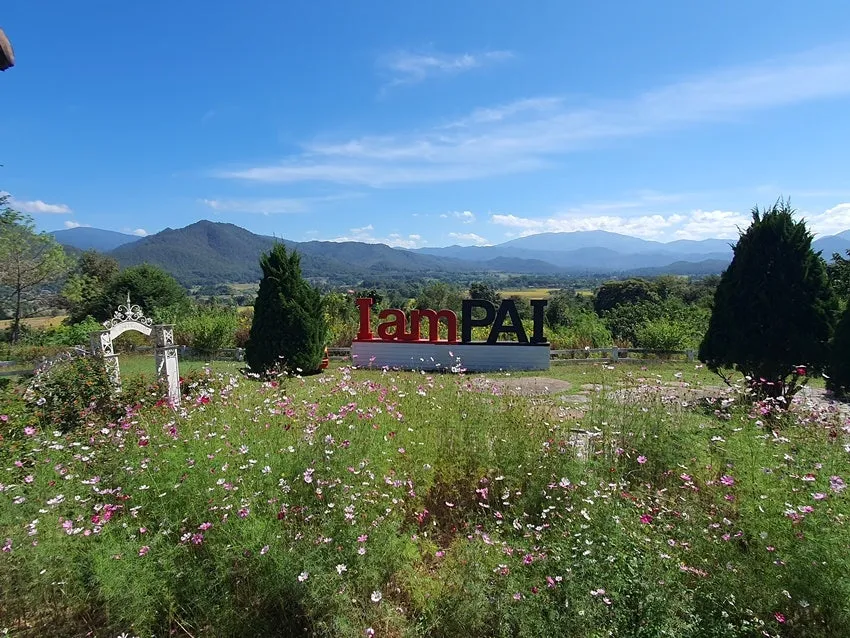 20251122_120619.jpg?type=w1600