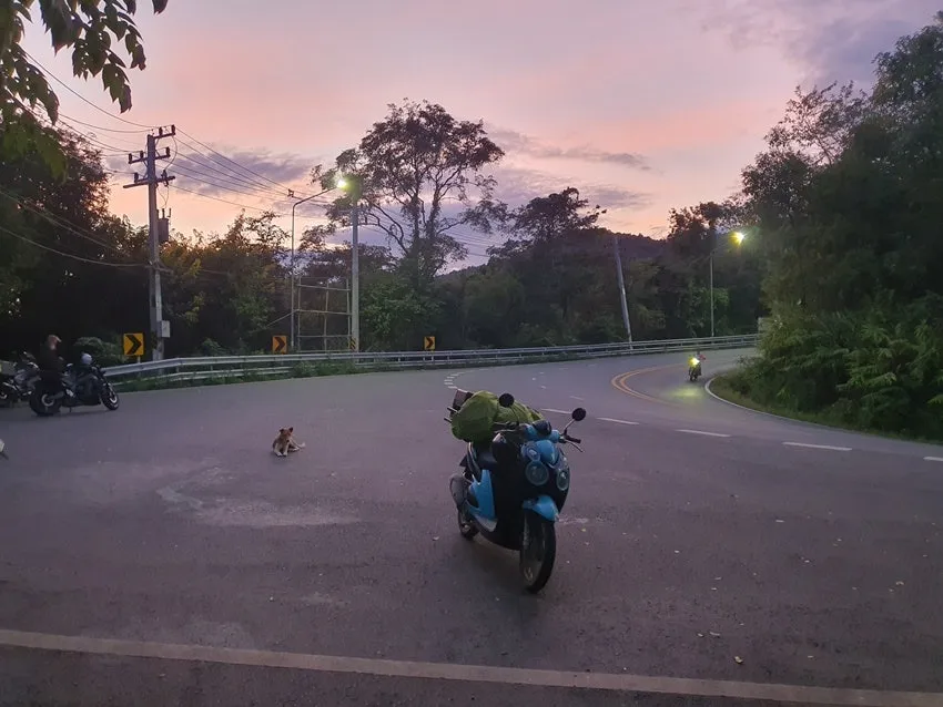 20251106_180048.jpg?type=w1600