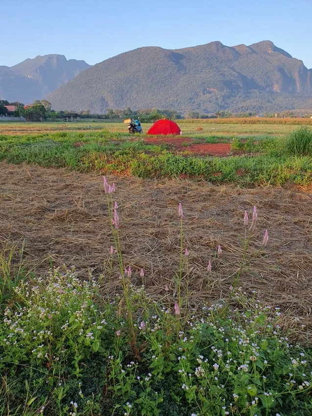 20251116_065133.jpg?type=w1600