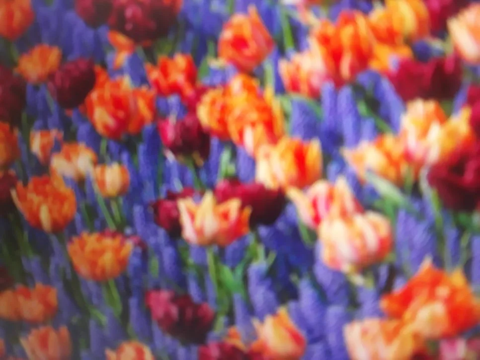 KakaoTalk_20231006_085752946_10.jpg?type=w966