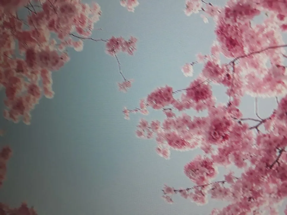 KakaoTalk_20231006_085752946_16.jpg?type=w966