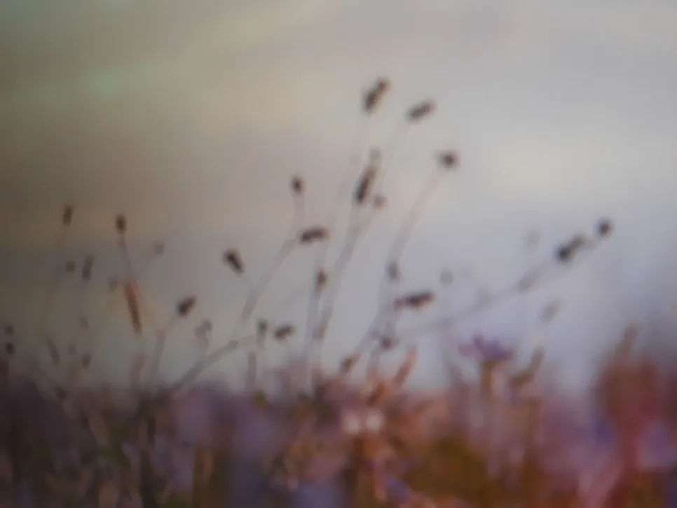 KakaoTalk_20231006_085752946_09.jpg?type=w966