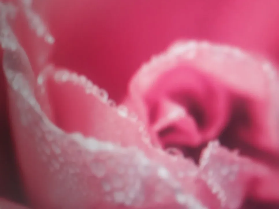 KakaoTalk_20231006_085752946_11.jpg?type=w966