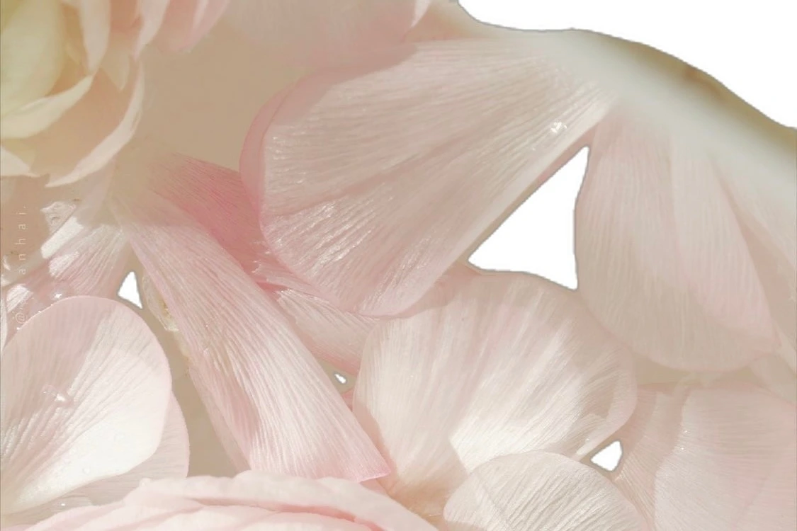 KakaoTalk_Photo_2026-02-22-17-20-25 002.jpeg