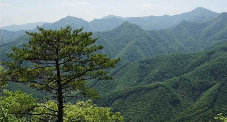 img.jpg?credential=yqXZFxpELC7KVnFOS48ylbz2pIh7yKj8&expires=1772290799&allow_ip=&allow_referer=&signature=LLbo%2Fsw7%2BBrcDppKHngCTWZbPZw%3D