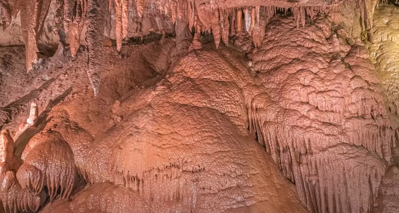 Screenshot 2026-01-29 at 14.30.28.JPG