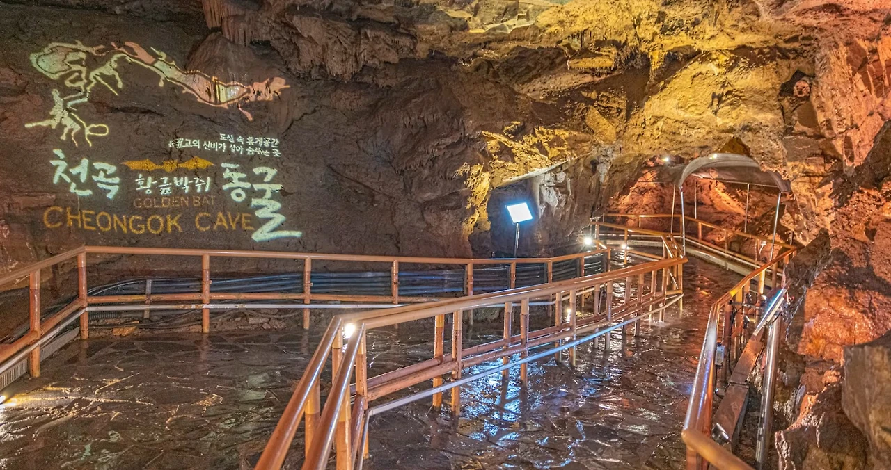 Screenshot 2026-01-29 at 14.30.51.JPG