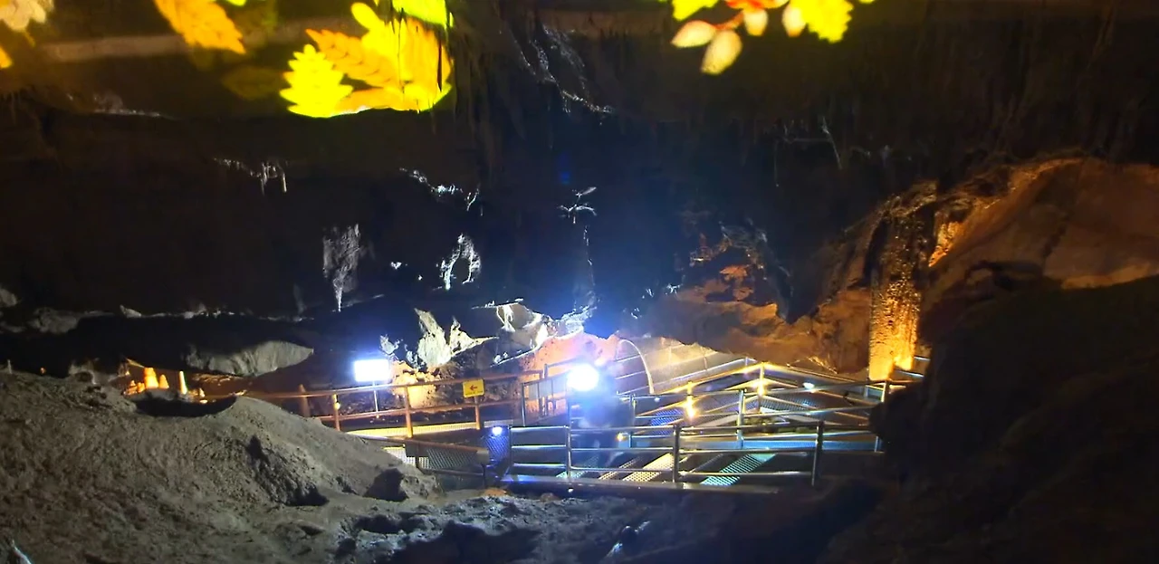 Screenshot 2026-01-29 at 14.34.52.JPG