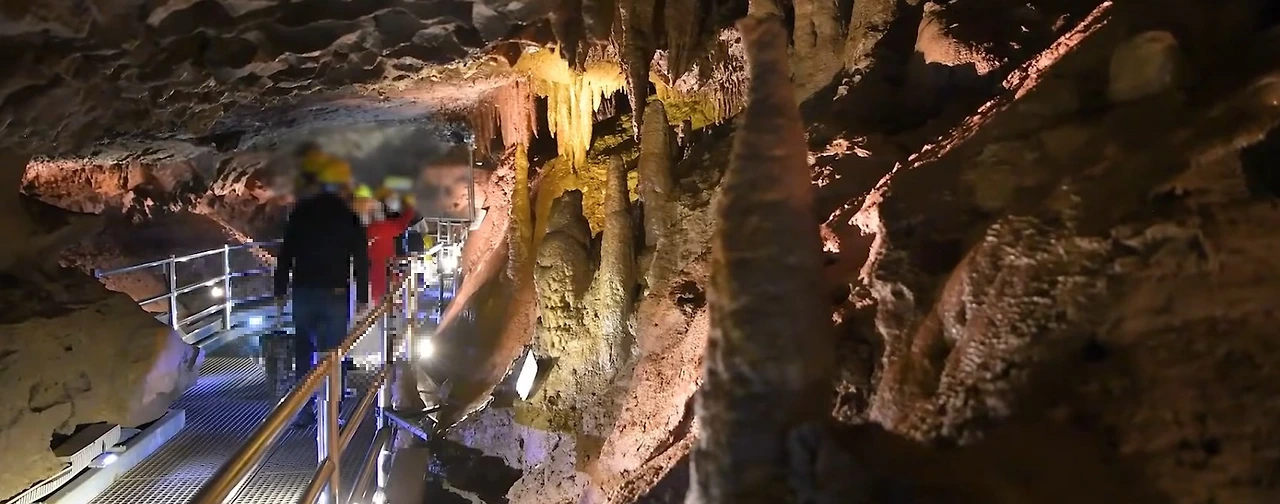 Screenshot 2026-01-29 at 14.32.22.JPG