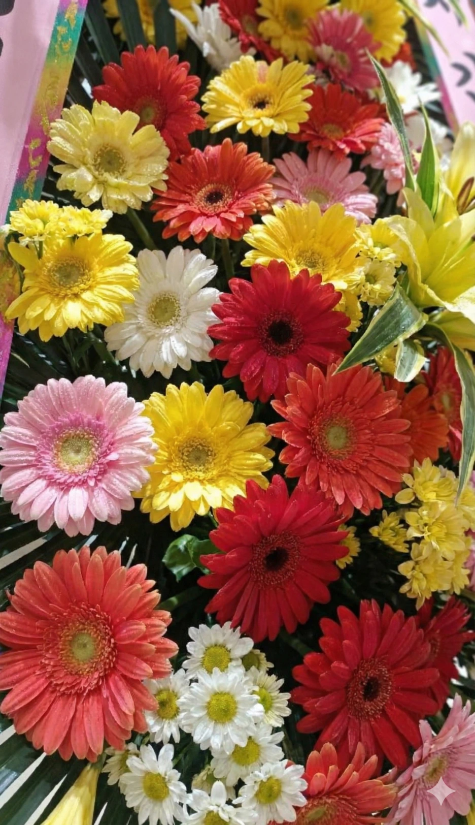 %EA%B8%B0%EB%B2%84_%EC%9D%B4%EC%9A%A9%ED%9B%84%EA%B8%B0_%EA%B2%B0%ED%98%BC%EC%8B%9D_%ED%99%94%ED%99%98.png?type=w1