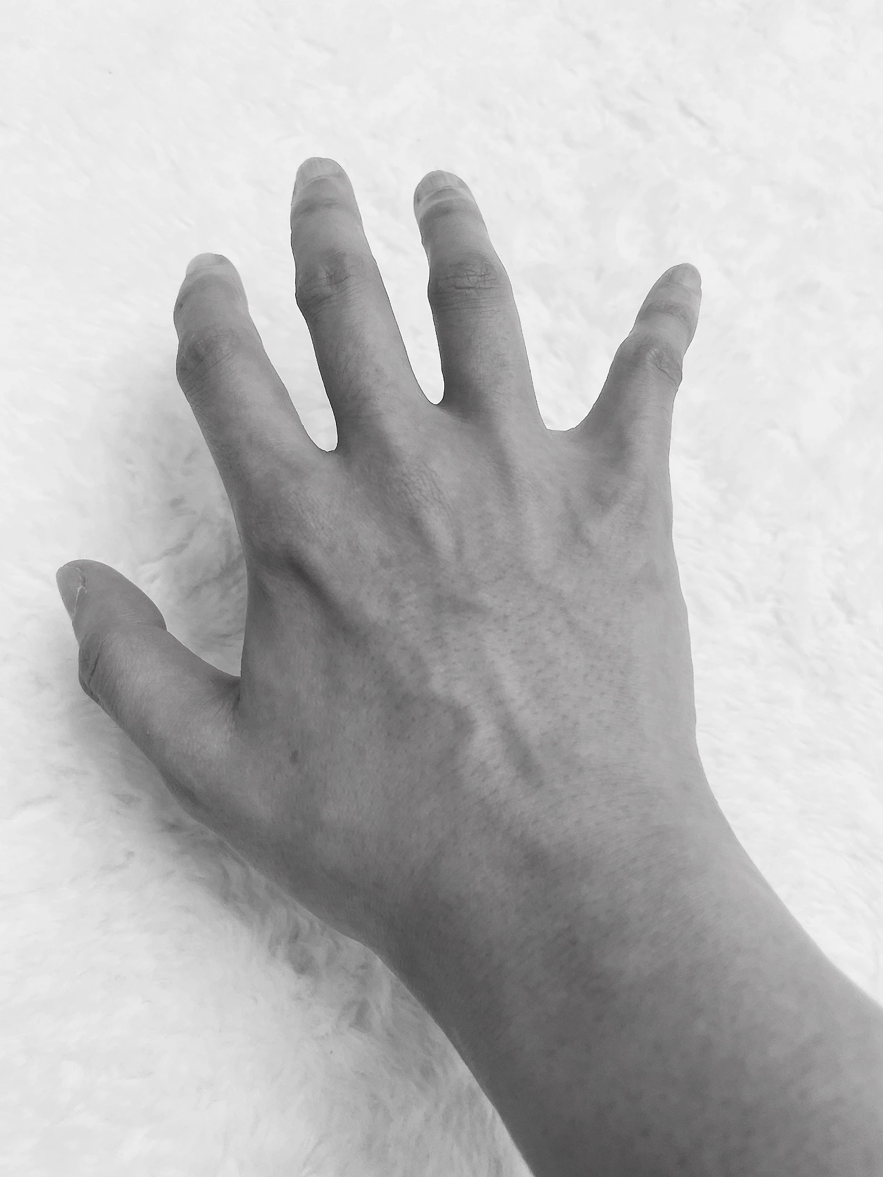 696e4b693e9d2.jpeg?imgSeq=81249