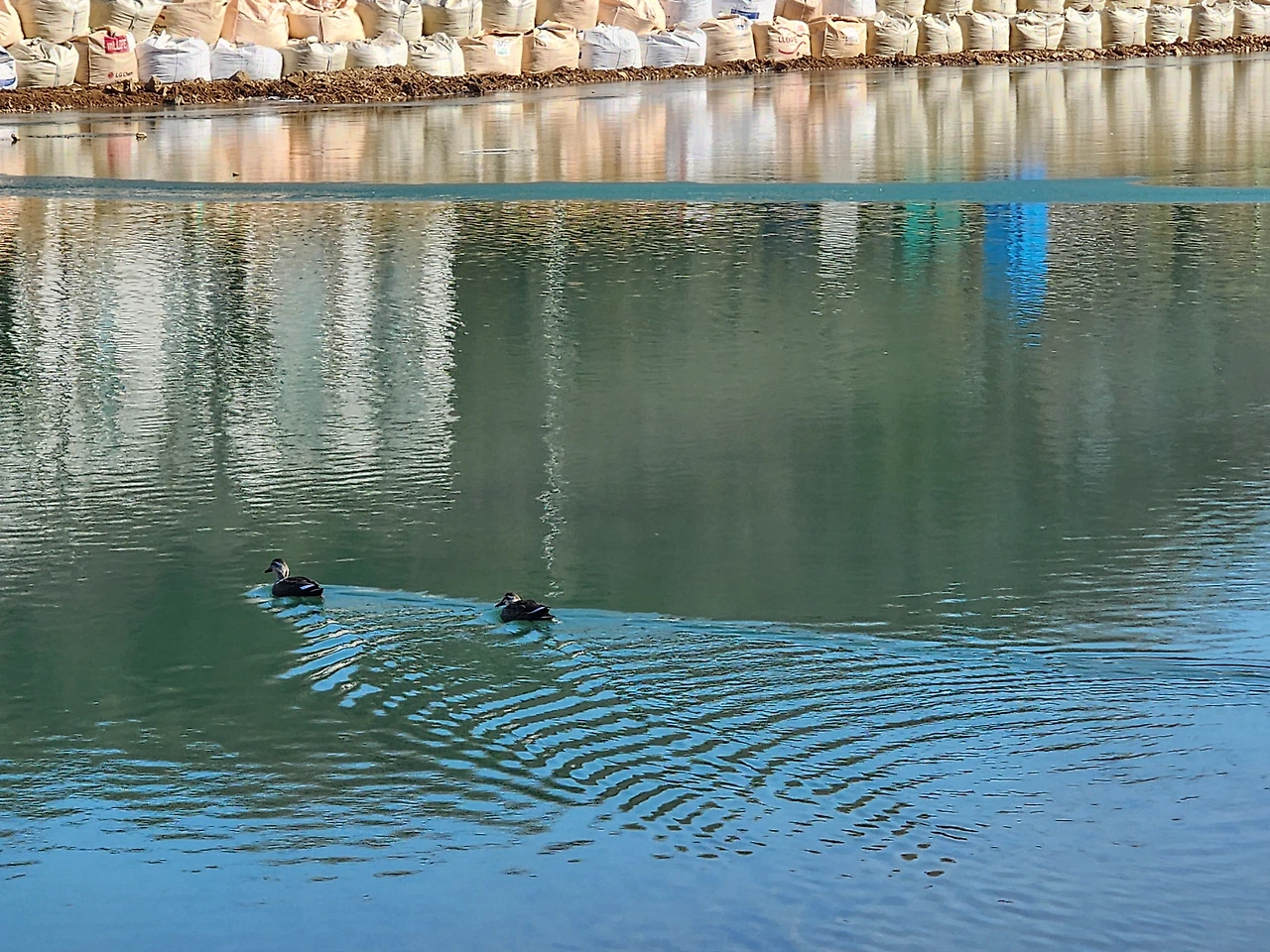 KakaoTalk_Photo_2026-01-27-17-42-49 002.jpeg