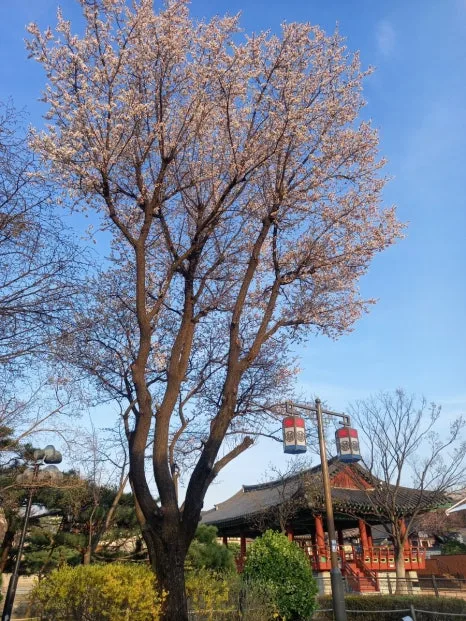 900%EF%BC%BF20250408%EF%BC%BF175231.jpg?type=w466