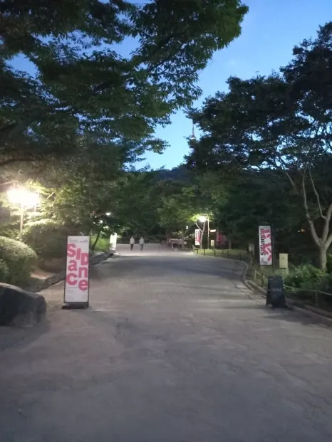 900%EF%BC%BF20250911%EF%BC%BF191205.jpg?type=w466