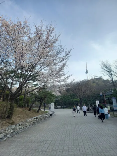 900%EF%BC%BF20250408%EF%BC%BF175500.jpg?type=w466