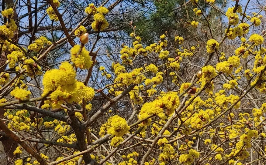 a_ah4Ud018svcllqp4kxfnqhm_149gk0.png?type=e1920_std