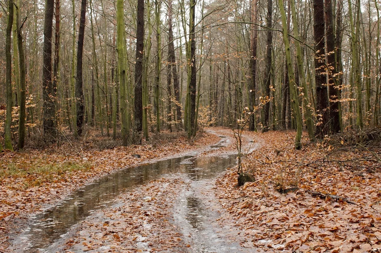 a_dhiUd018svc1v4n53c4bfvlu_149gk0.jpg?type=e1920_std