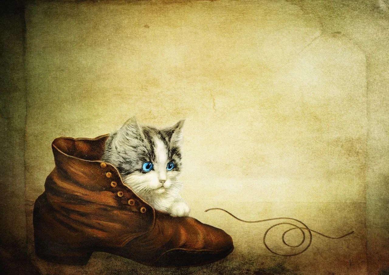 9_h0iUd018svc5s44omsq52an_149gk0.jpg?type=e1920_std