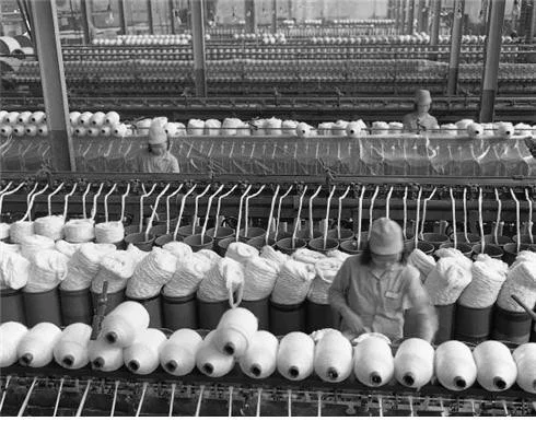 7_4d3Ud018svcjcxekvig8pza_149gk0.png?type=e1920_std