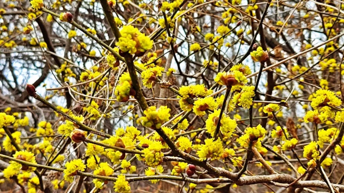 8_547Ud018svc1bd8u5rjqlg05_149gk0.png?type=e1920_std